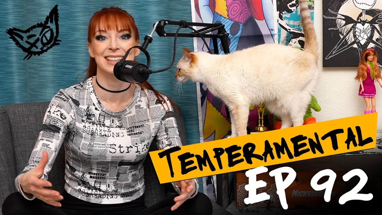 В Нарнии никто не умирает! (Они умирают.) (Эпизод 92) | Temperamental с Лизой Фойлс