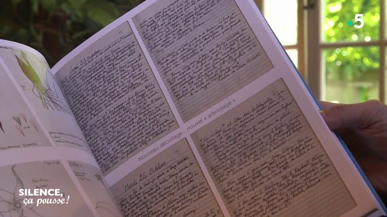 Portait : Francis Hallé, botaniste et biologiste - Silence, ça pousse !