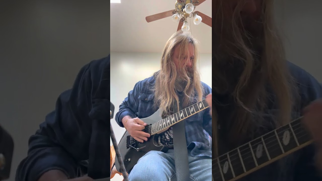 Caparison guitars