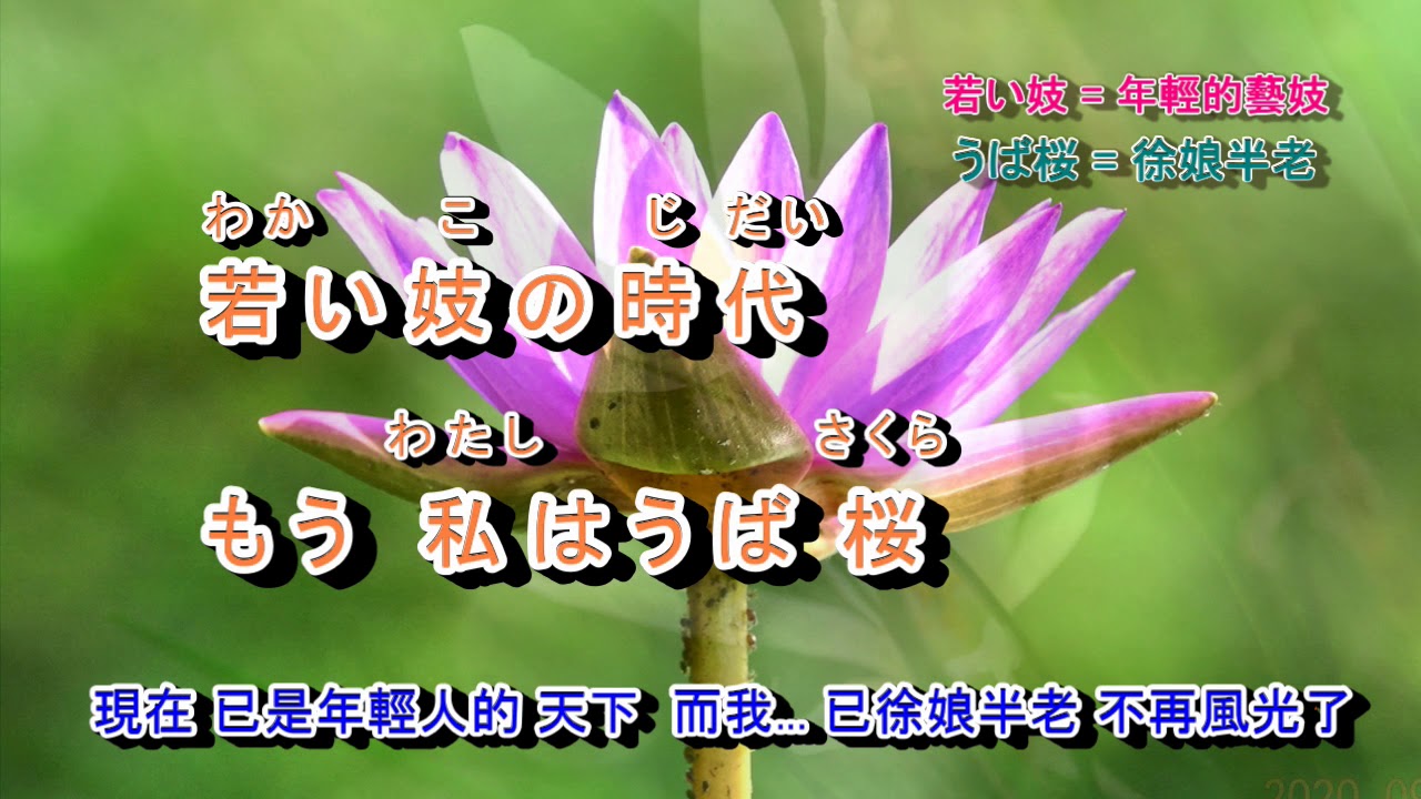 花街之母 字義版