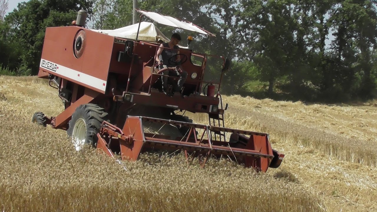 [ TREBBIATURA GRANO DURO 2022] LAVERDA 3350 - NEW HOLLAND 80-66- SAME EXPLORER 65