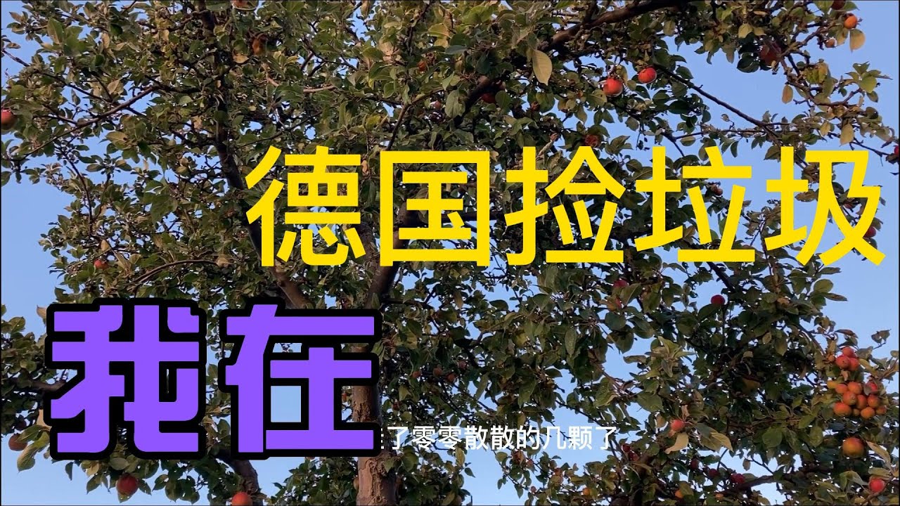 第88期 我在德国捡垃圾,快来看看我们捡了撒?