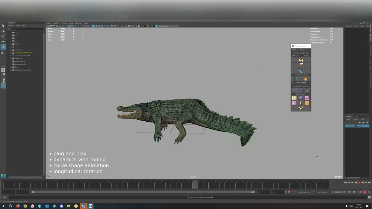 Dynamic Tool
