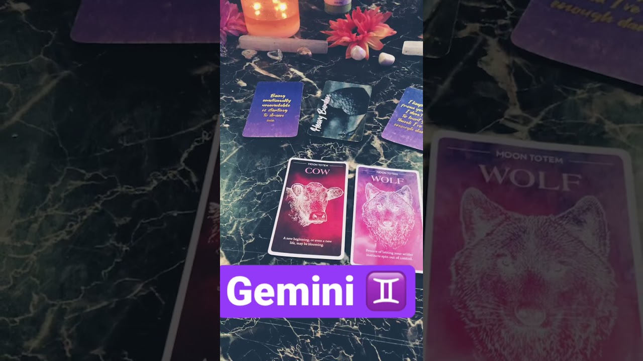 GEMINI ♊️ IN ❤️ ( sun ☀️ moon 🌙 rising ⬆️)