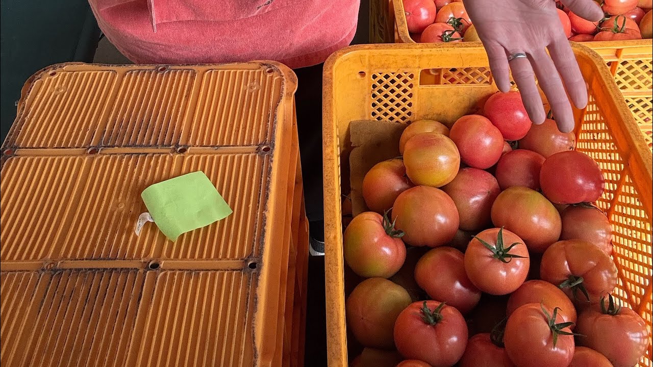 農家の嫁。Youtuberになる がライブ配信中！