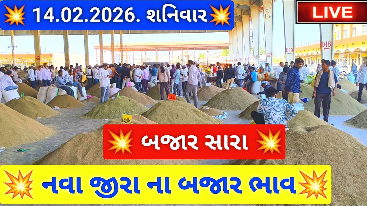 🔴live નવા જીરા ના બજાર ભાવ આજના જસદણ માર્કેટિંગ યાર્ડ, new cumin auction price,February 14, 2026
