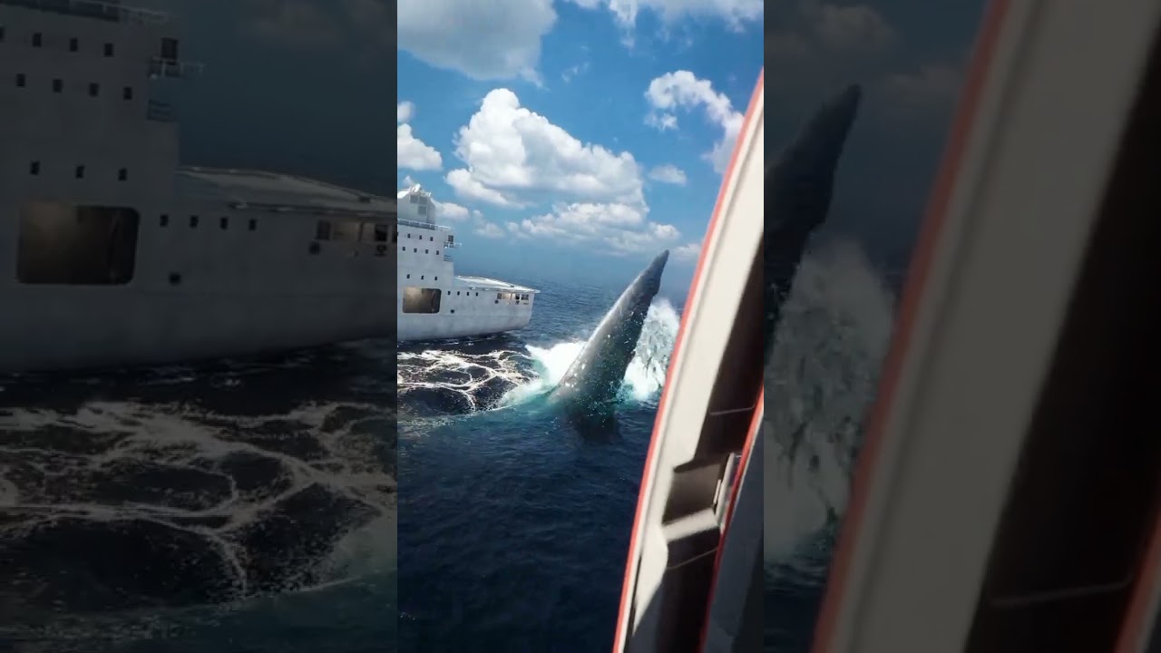 Megalodon Attack POV 