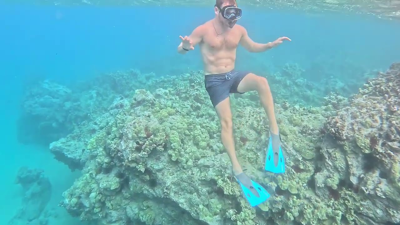 Hawaii Snorkeling 2026