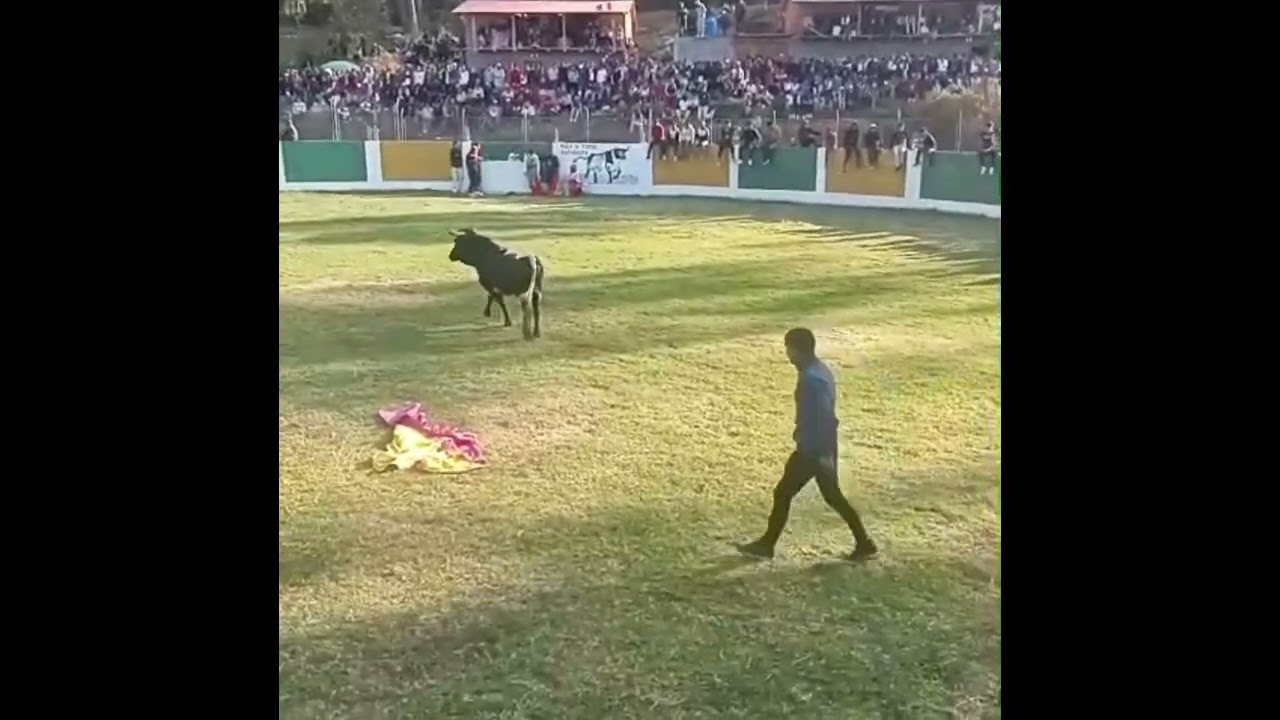 CORRIDA DE TOROS EN HUACHOCOLPA 2024