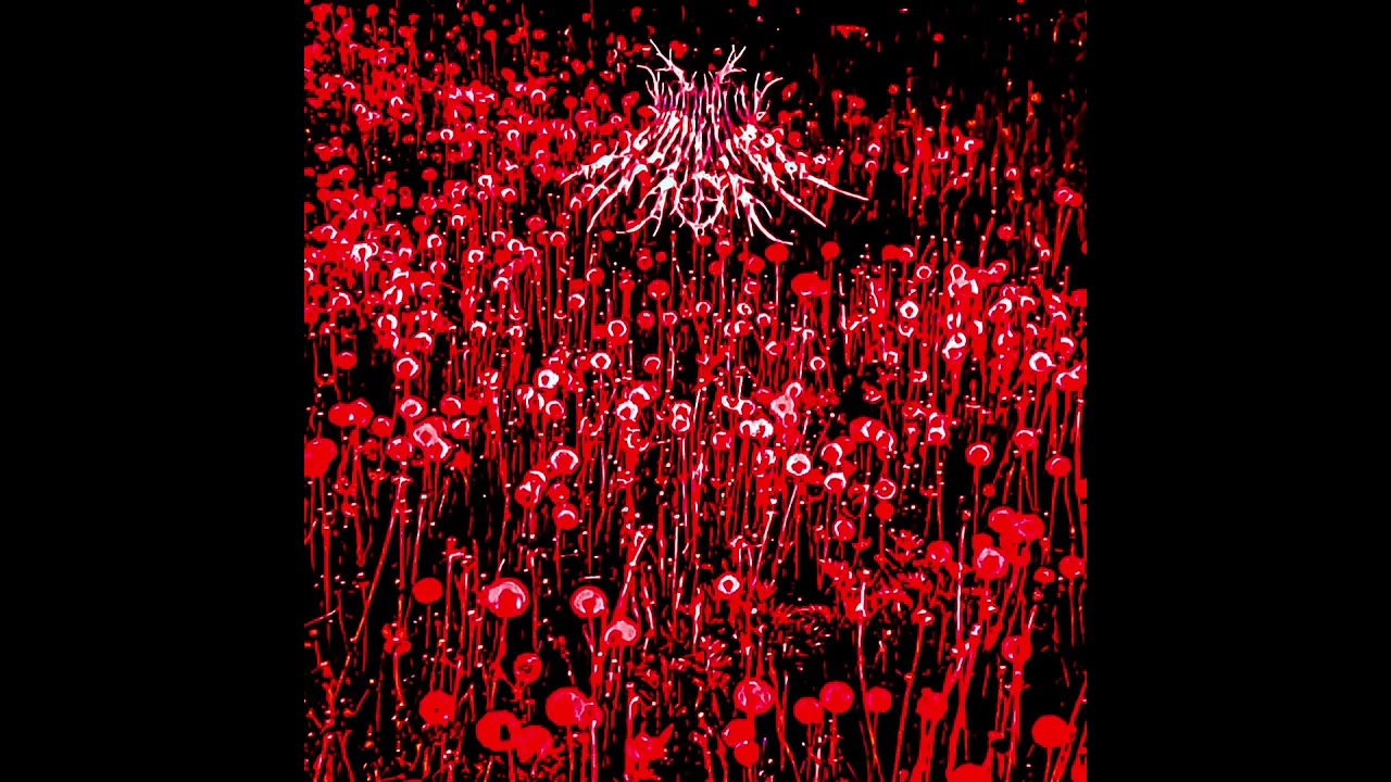Neverly - opium (Full Ep) (old material 2024) 