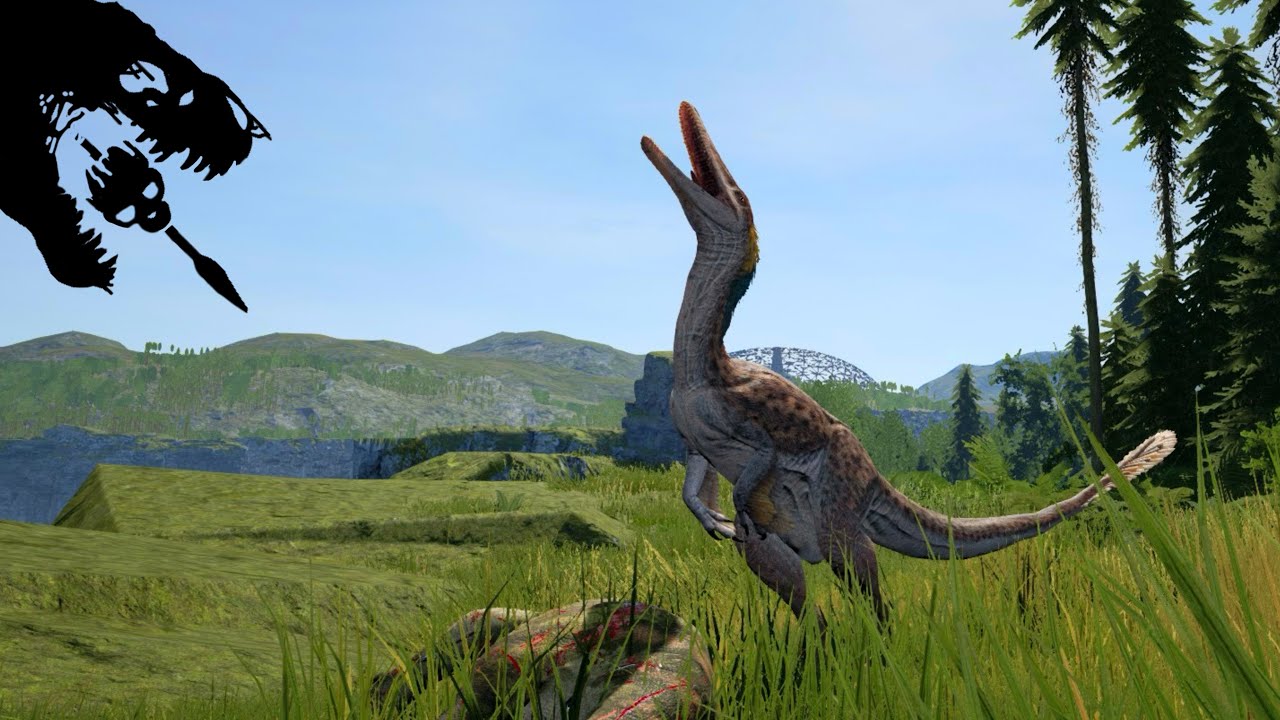 The Devious Life of an Austroraptor