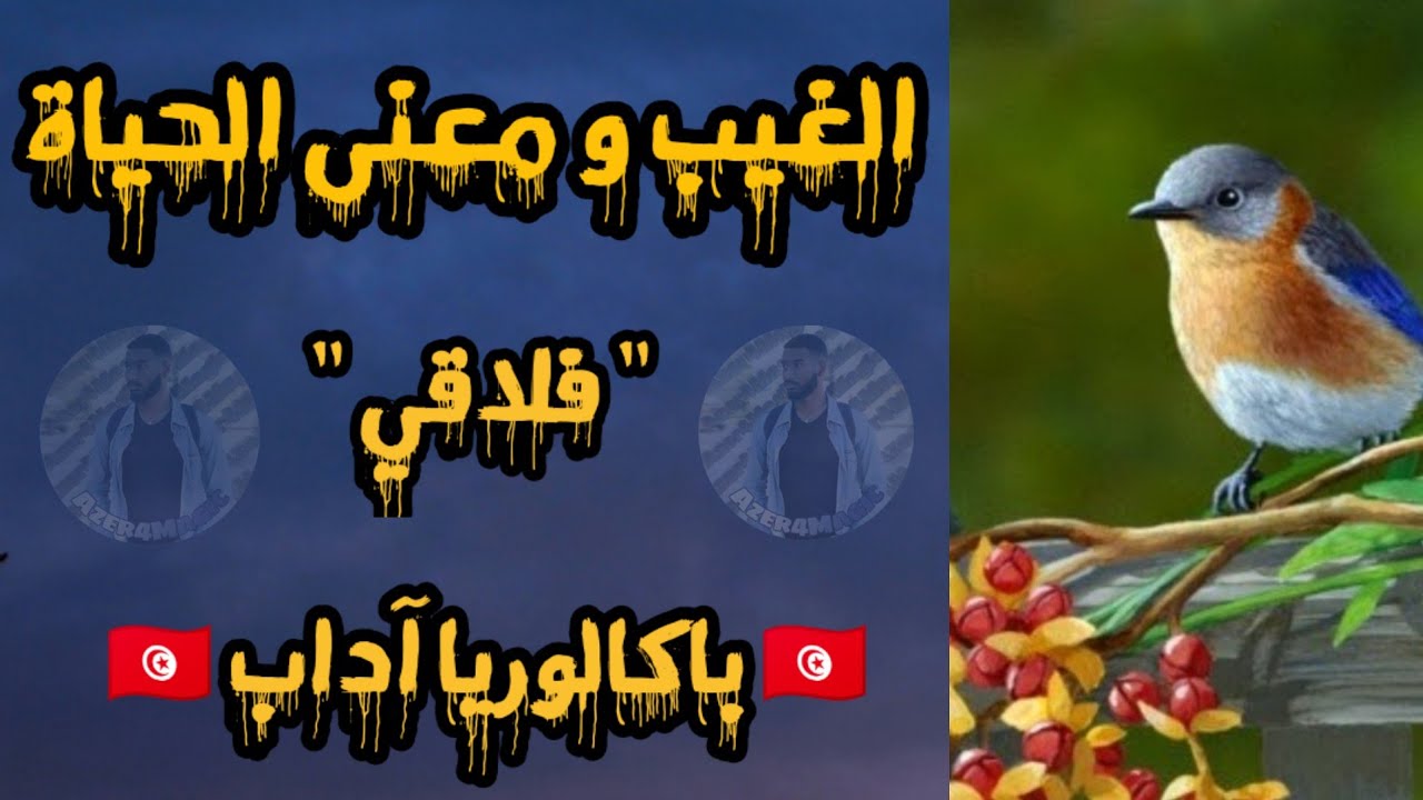 الغيب و معنى الحياة | فلاقي | باكالوريا آداب 🇹🇳