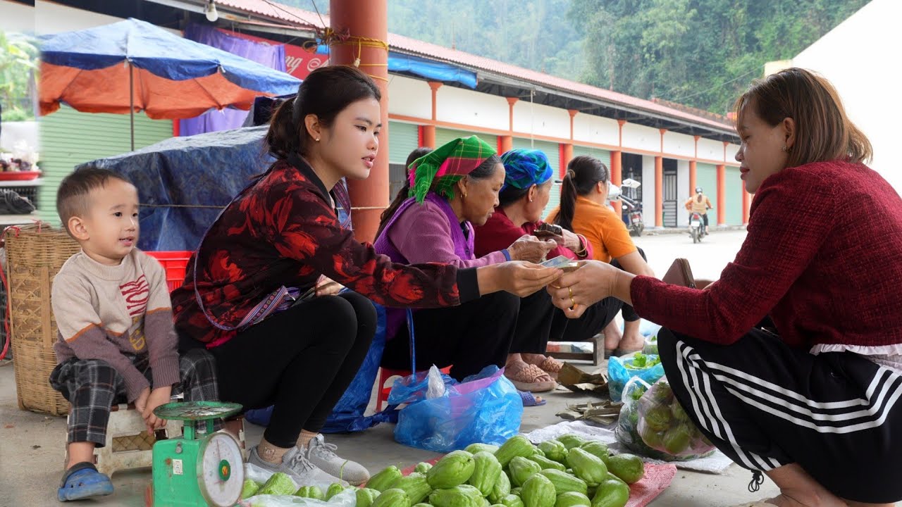 Harvesting Chayote to Sell at the Market - Recipe for Delicious Crispy Fried Shrimp for Dinner.