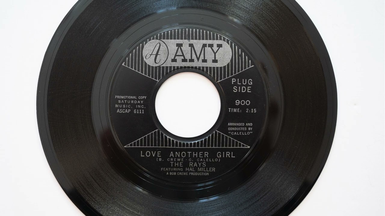 The Rays - Love Another Girl