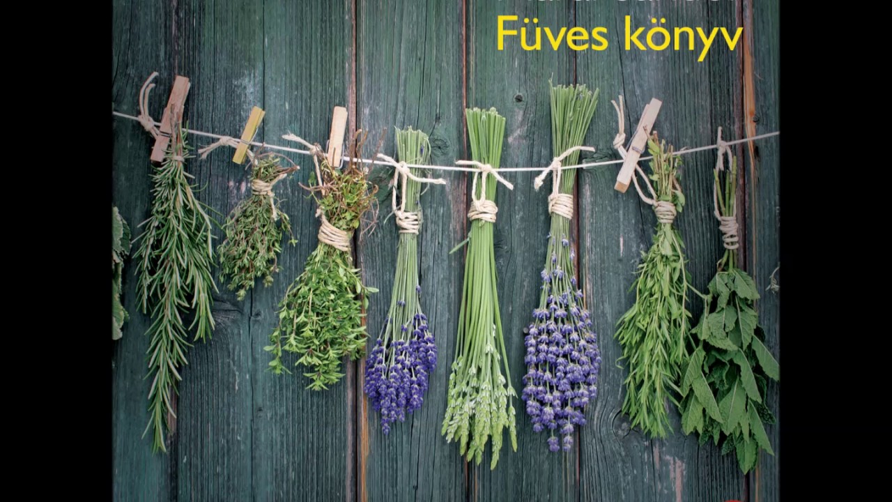 M&aacute;rai S&aacute;ndor: F&uuml;ves k&ouml;nyv - hangosk&ouml;nyv 7. fejezet