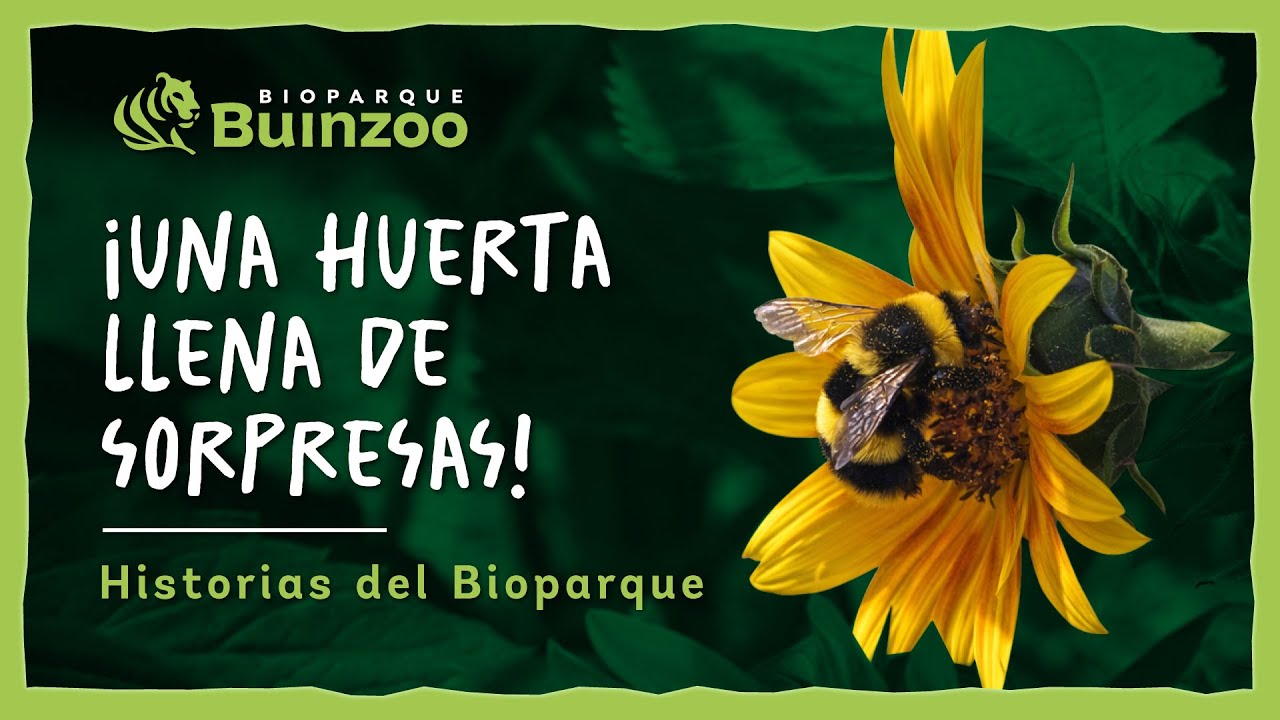 HISTORIAS DE BIOPARQUE - UNA HUERTA LLENA DE SORPRESAS