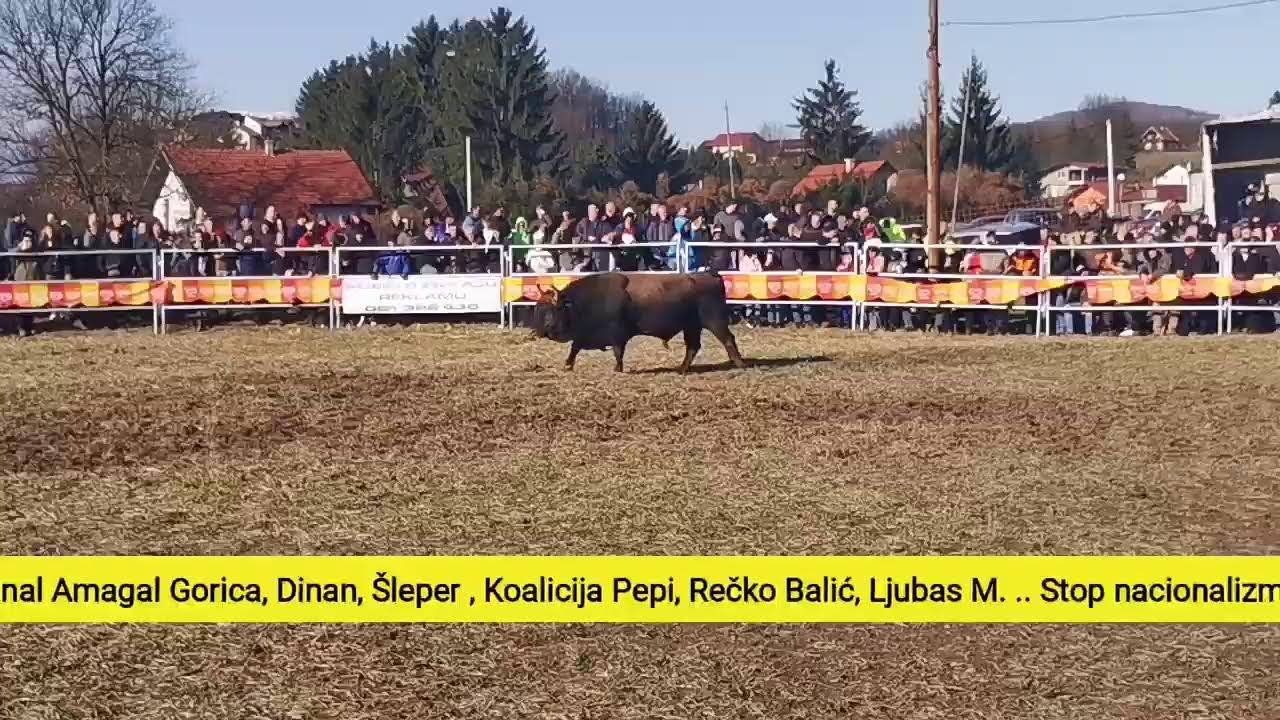 Uživo prvi krug Vitez Park Arena