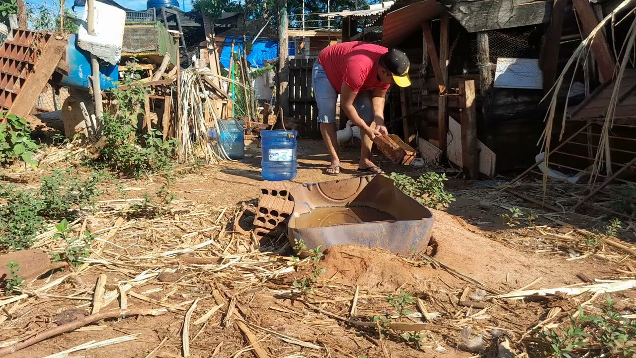 Vai ter mudança  no galinheiro.e chiqueiro 