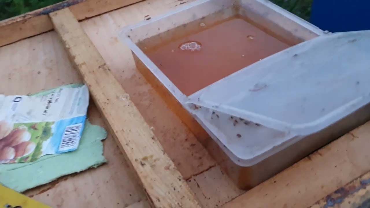 Podisor MULTIFUNCTIONAL Stuparul.Ro - Cum ne ajuta?