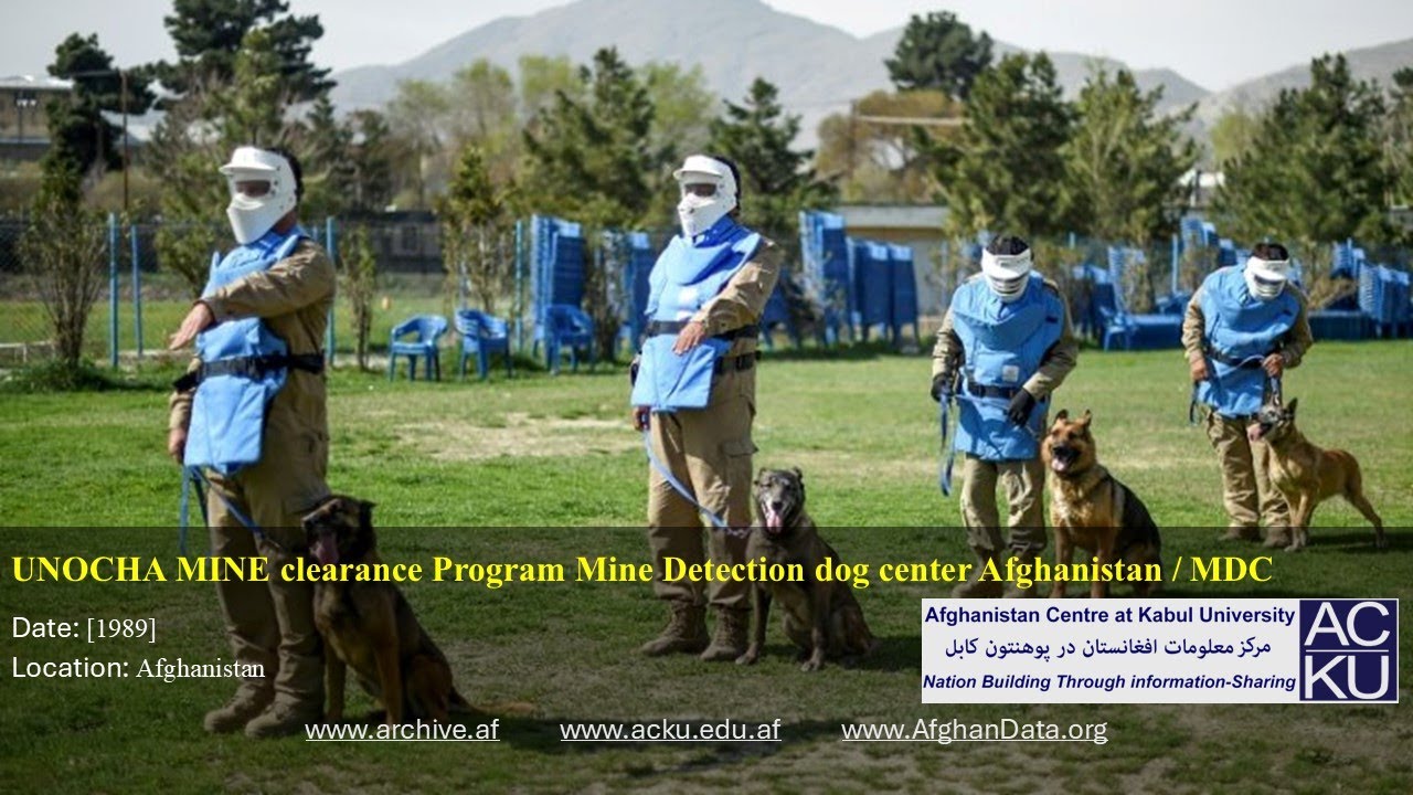 UNOCHA Mine Clearance Program Mine Detection dog center Afghanistan / MDC Afghanistan.
