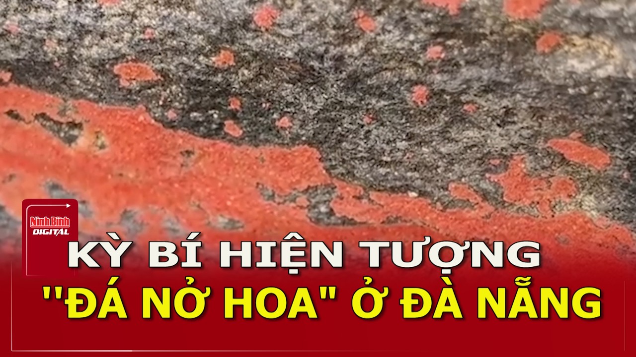 Kỳ bí hiện tượng 
