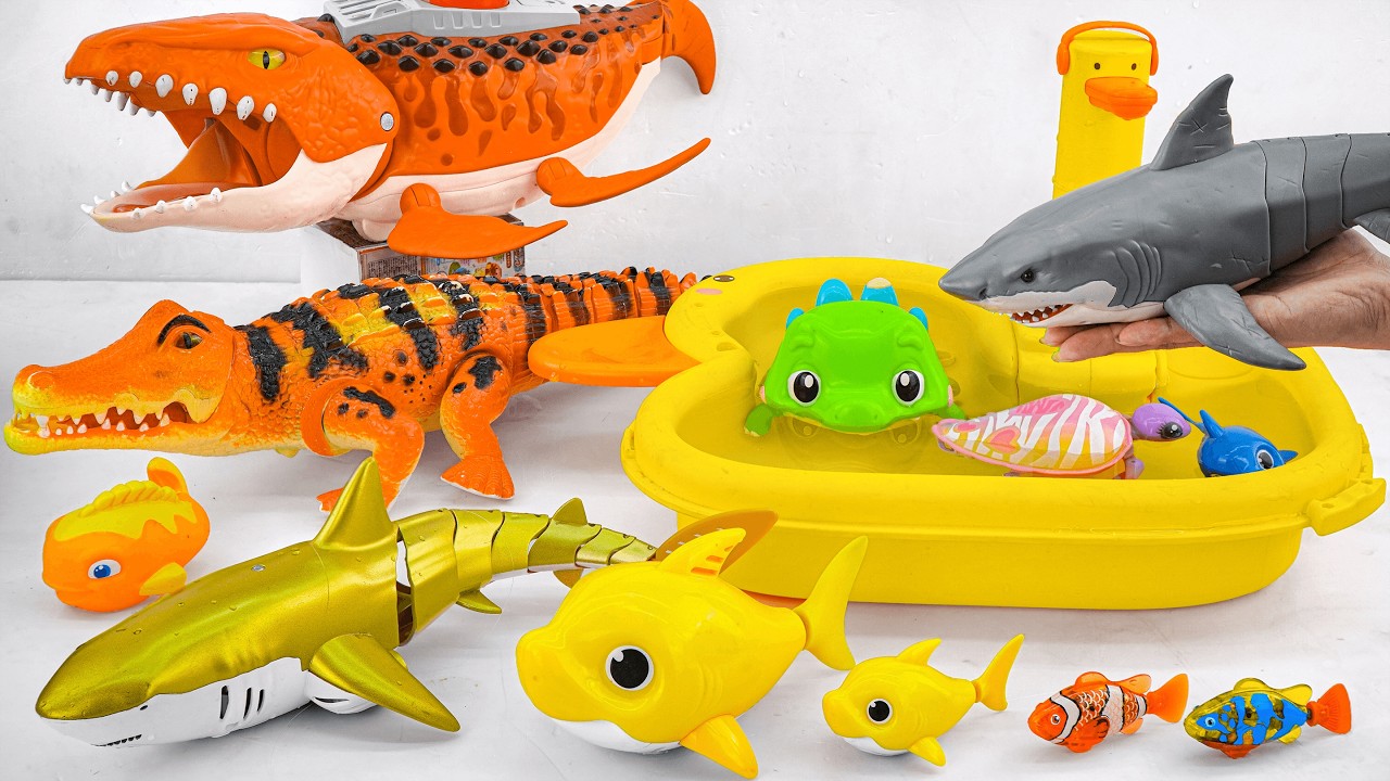 [Toy asmr] Crocodile & RC Shark & Baby Shark &Zuru Robo Alive Aquarium ASMR Satisfying with Unboxing