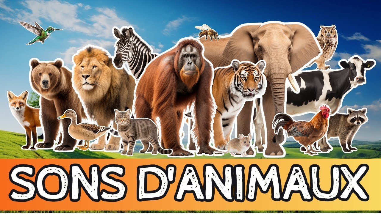 Découvrez les Sons d'Animaux les Plus DÉTENDANTS pour Enfants !