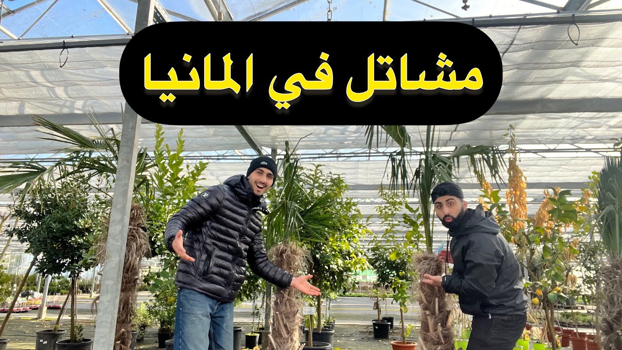 جوله في مشاتل المانيا -علاوي وحشوني