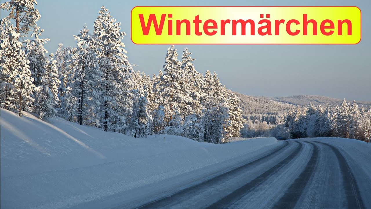 Auf einsamen Nebenstraßen durch den Winterwald