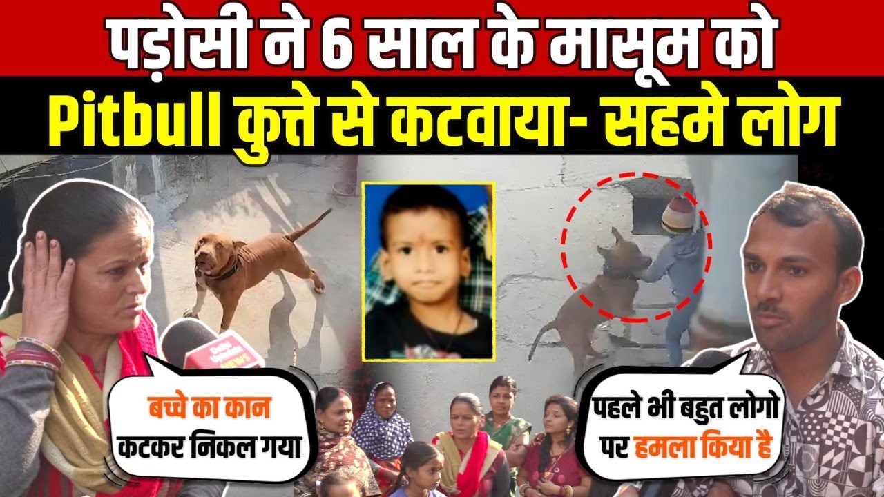 पड़ोसी ने 6 साल के मासूम को | Pitbull कुत्ते से कटवाया-सहमे लोग | Pitbull Dog | Delhi News