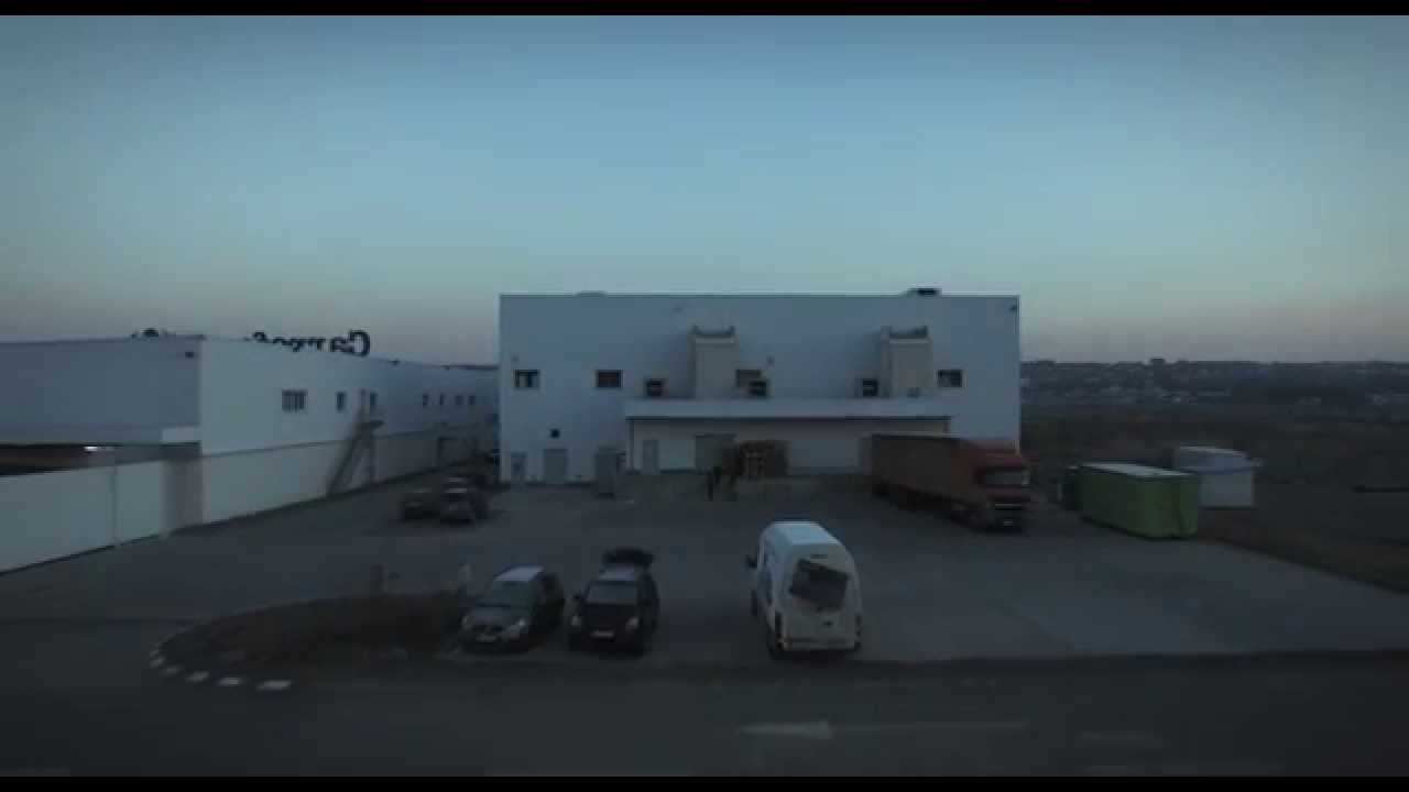 Pinholes - Porcul Spinos (Official Video)