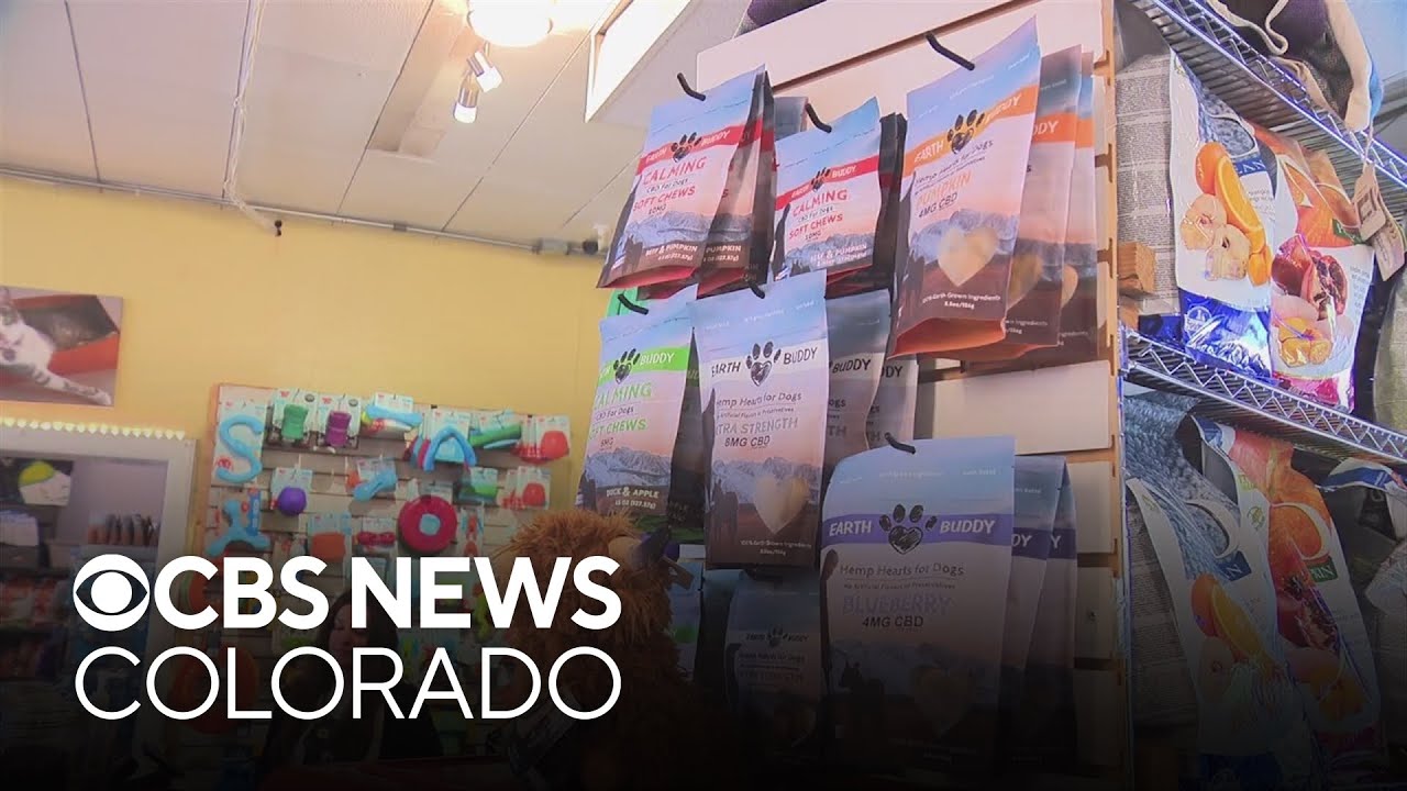 Colorado small business owner says tariffs being imposed by Trump administration could force closure