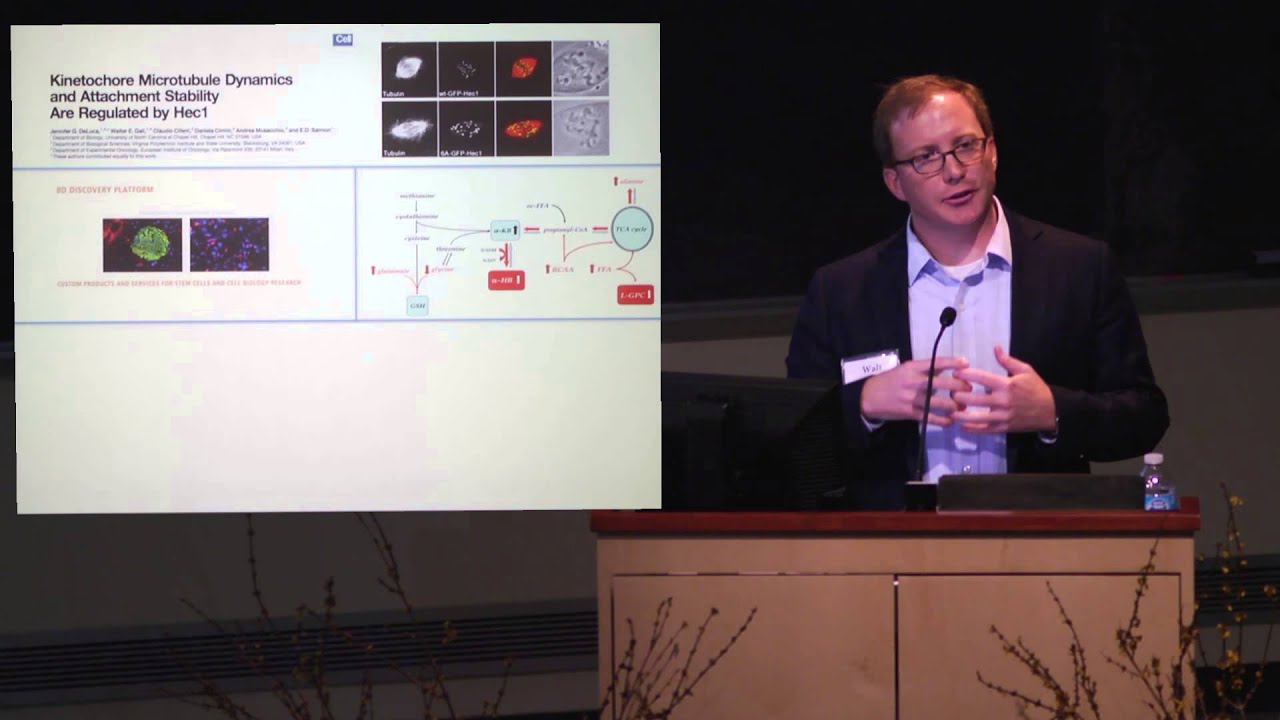 Dr. Walt Gall, Strategy Consultant, Biotechnology Enterprises