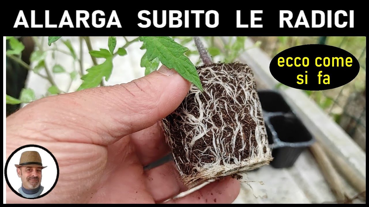 ALLARGA LE RADICI delle tue piantine