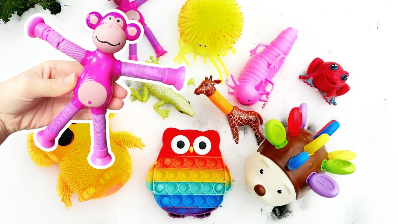 Learn Animal Names & Facts in the Snow for Kids: Hedgehog Koala Axolotl Giraffe Tiger