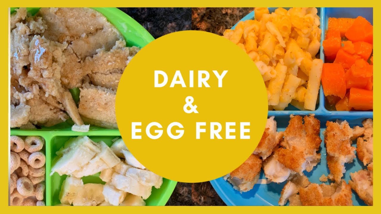 WHAT MY TODDLER EATS IN A DAY | Dairy & Egg Free