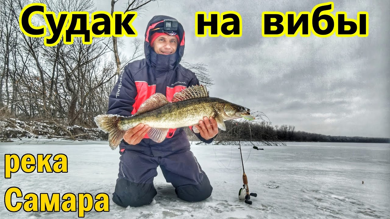 ЗА ТРОФЕЙНЫМ СУДАКОМ НА Р.САМАРА/ЛОВЛЯ СУДАКА НА ВИБЫ/КРУПНЫЙ СУДАК В КОРЯЖНИКЕ/ВИБЫ НА СУДАКА/2025