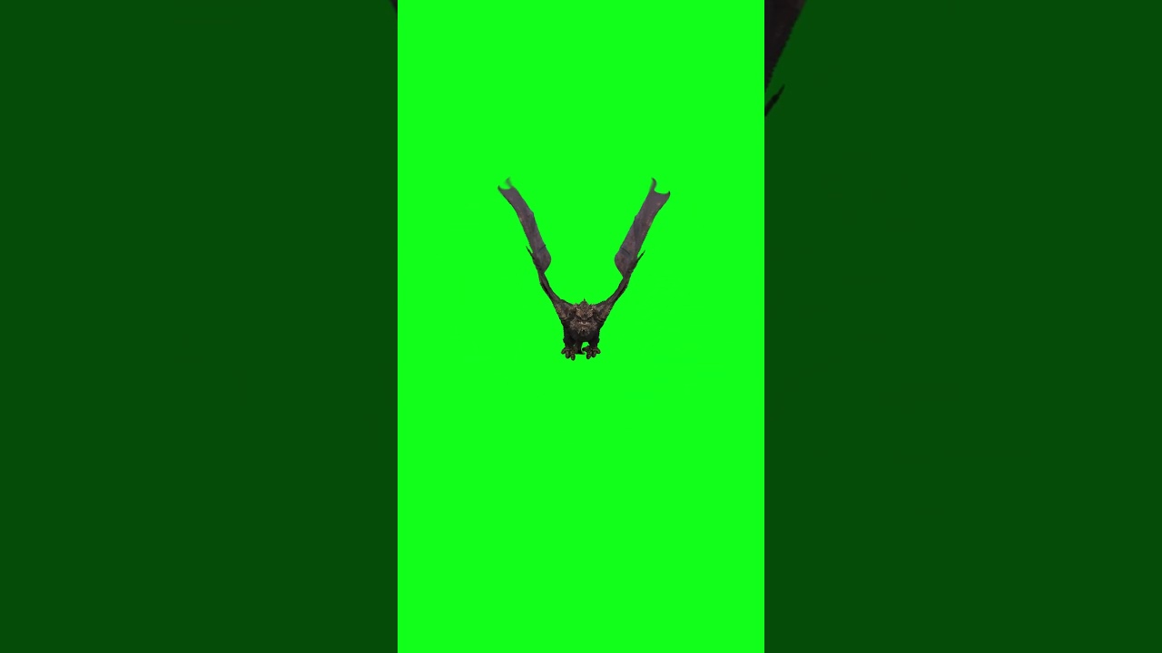 Dragon Fly - Green Screen -01 #greenscreen #dragon #effects #shorts