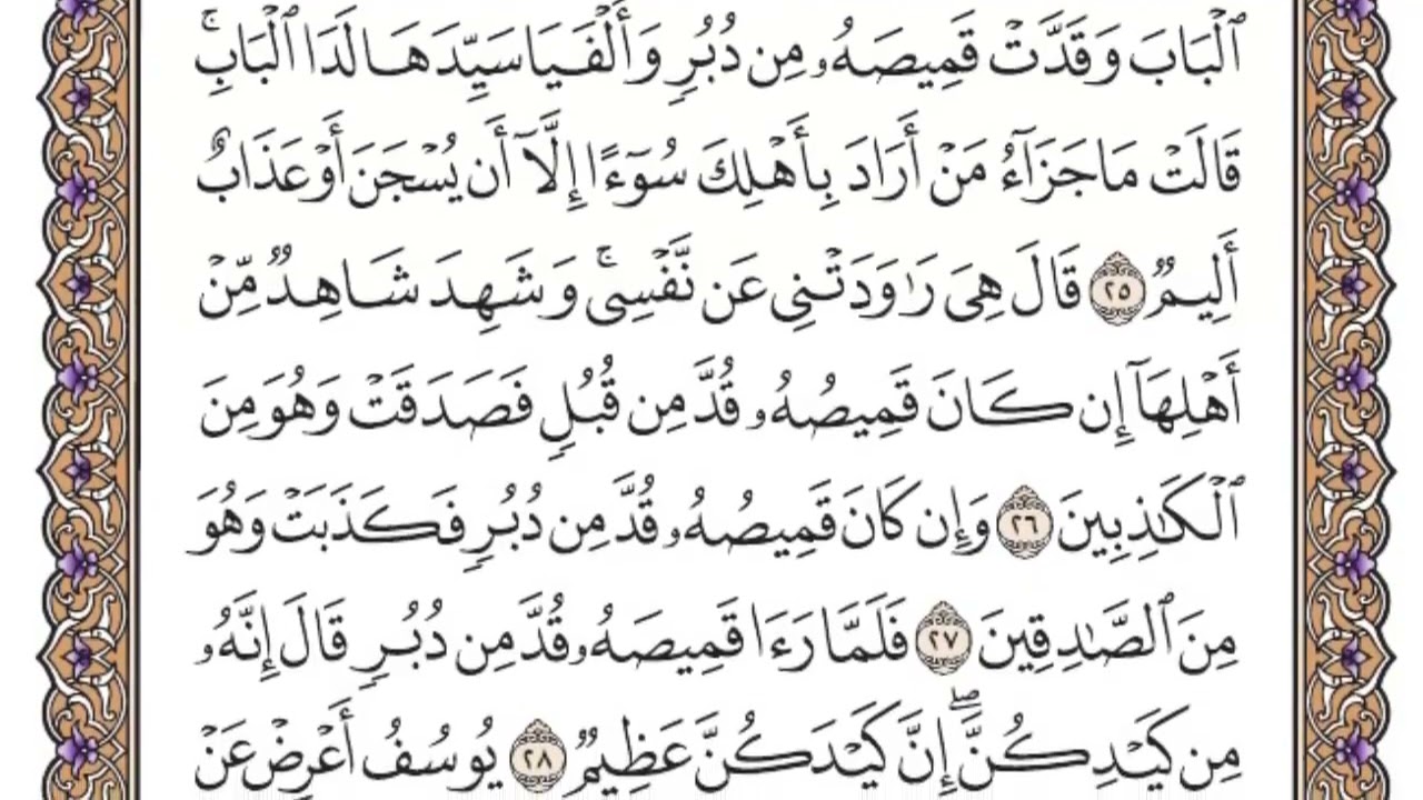 سورة يوسف الصفحة 238 من القران للشيخ ياسر الدوسري