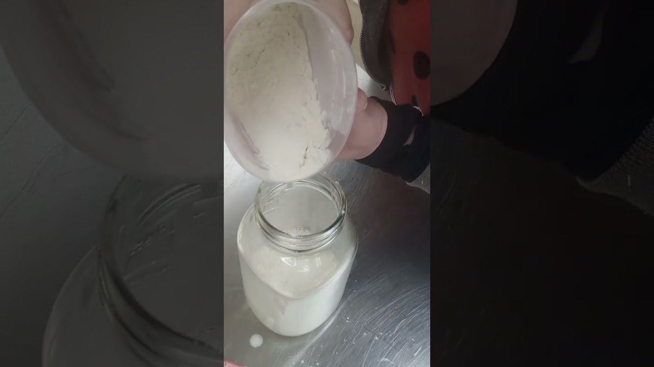 Feeding my sourdough starter 