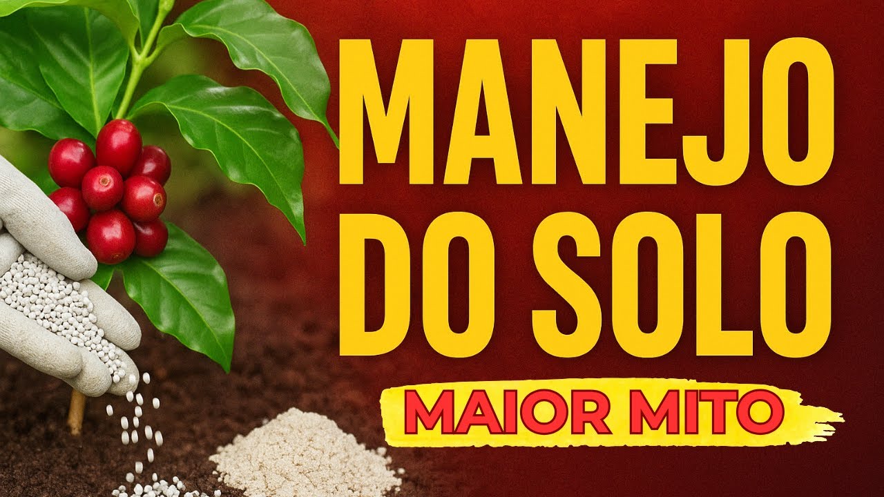 CALAGEM NA CAFEICULTURA: O MAIOR MITO REVELADO! Pare de perder produção AGORA! #agro #cafe