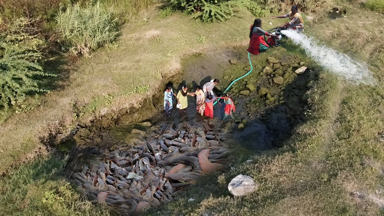Pond Water Fish Catching: Amazing Results Using Agriculture Motor