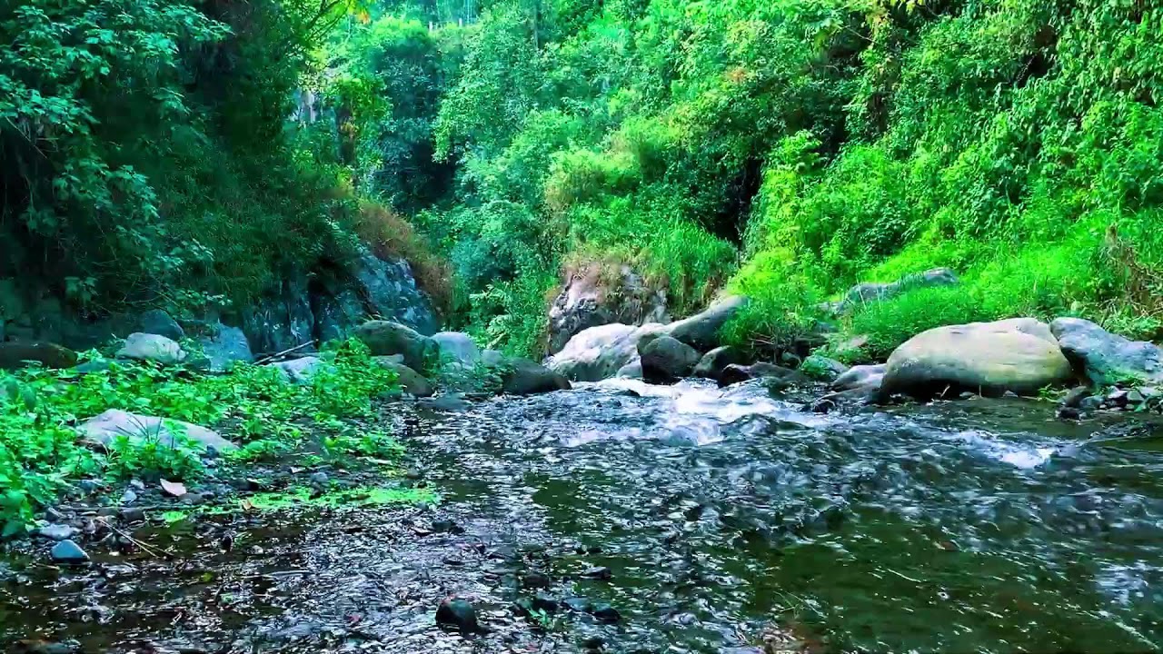 Mountain River ASMR for Sleeping Soundly, Therapy, Deep Relaxation