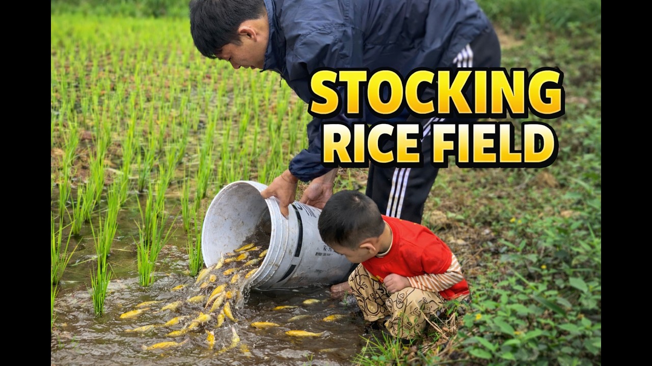 “A Day on the Farm With My Son | Buying Fish, Releasing Them and Feeding Ducks”