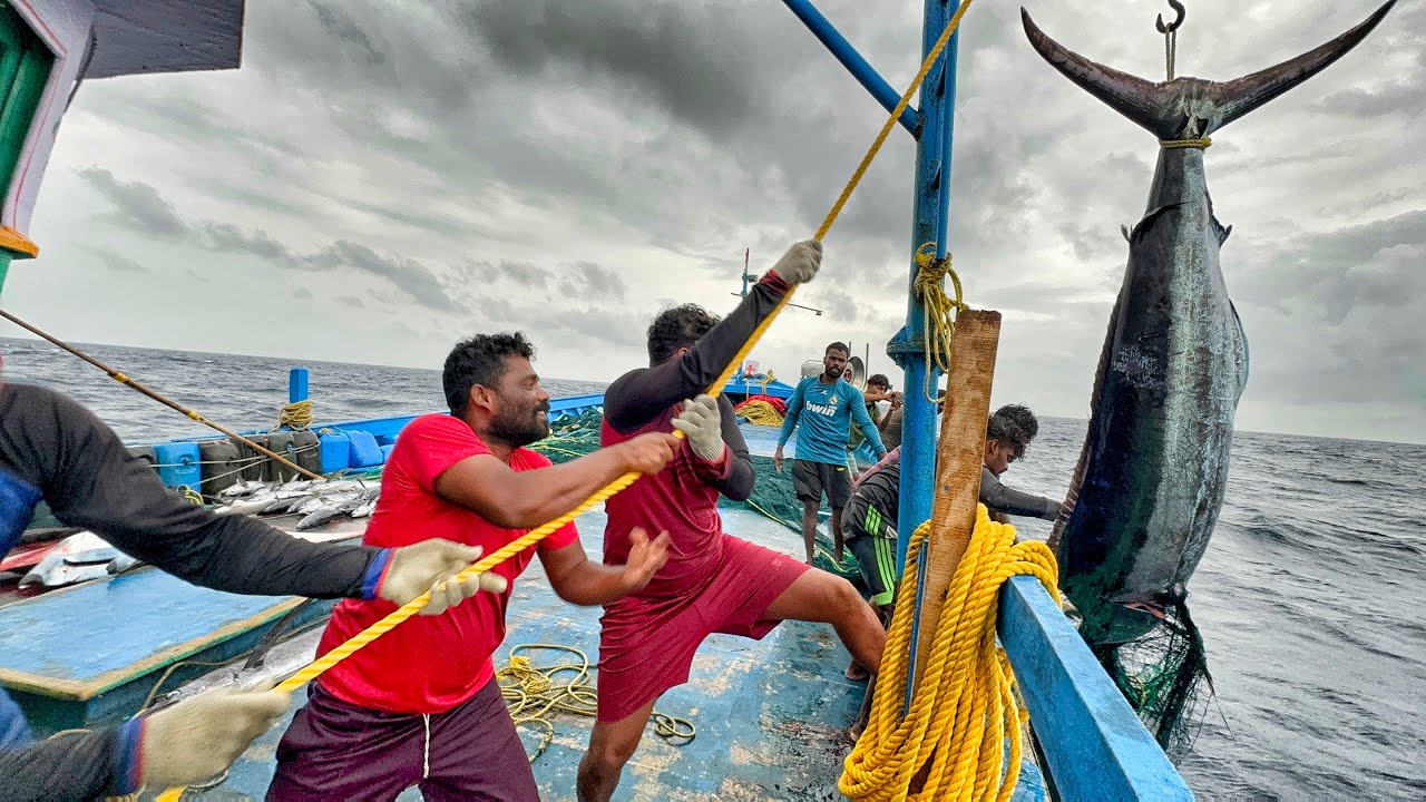 Ohhh!! On The Eleventh Day 🤩 We Stayed In The Deep Sea And Caught Big Fishes | Day-11 | EP12-S05