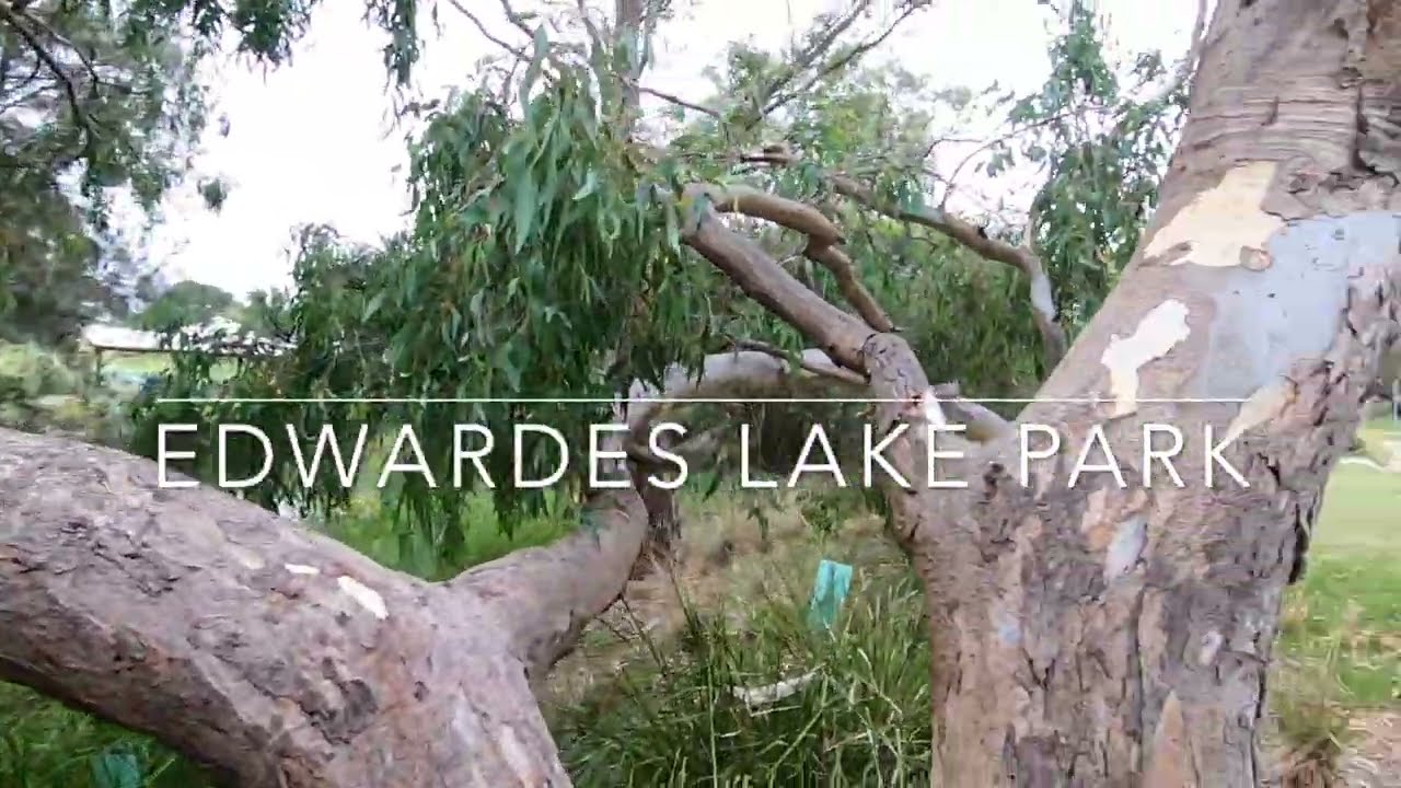 Edwardes Lake Park - Melbourne AUSTRALIA