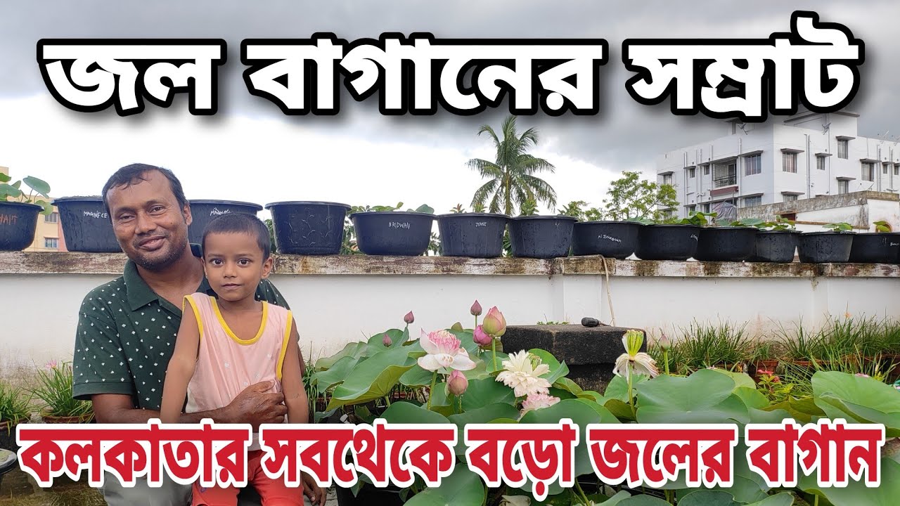 সোনারপুরের জিয়ারুল দার জল বাগান দেখলে অবাক হবেন || কলকাতার বুকে এত বড়ো জল বাগান আর কারুর নেই ||
