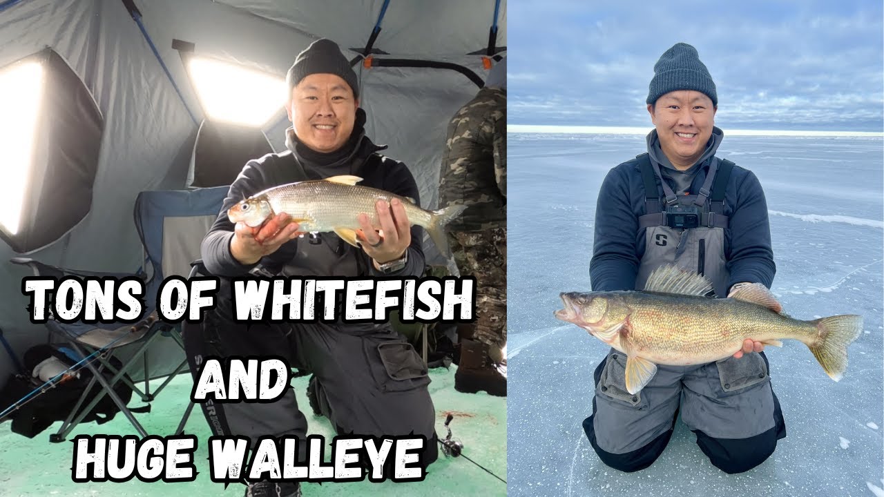 Whitefish and GIANT Walleye are BITING! Door County Ice Fishing