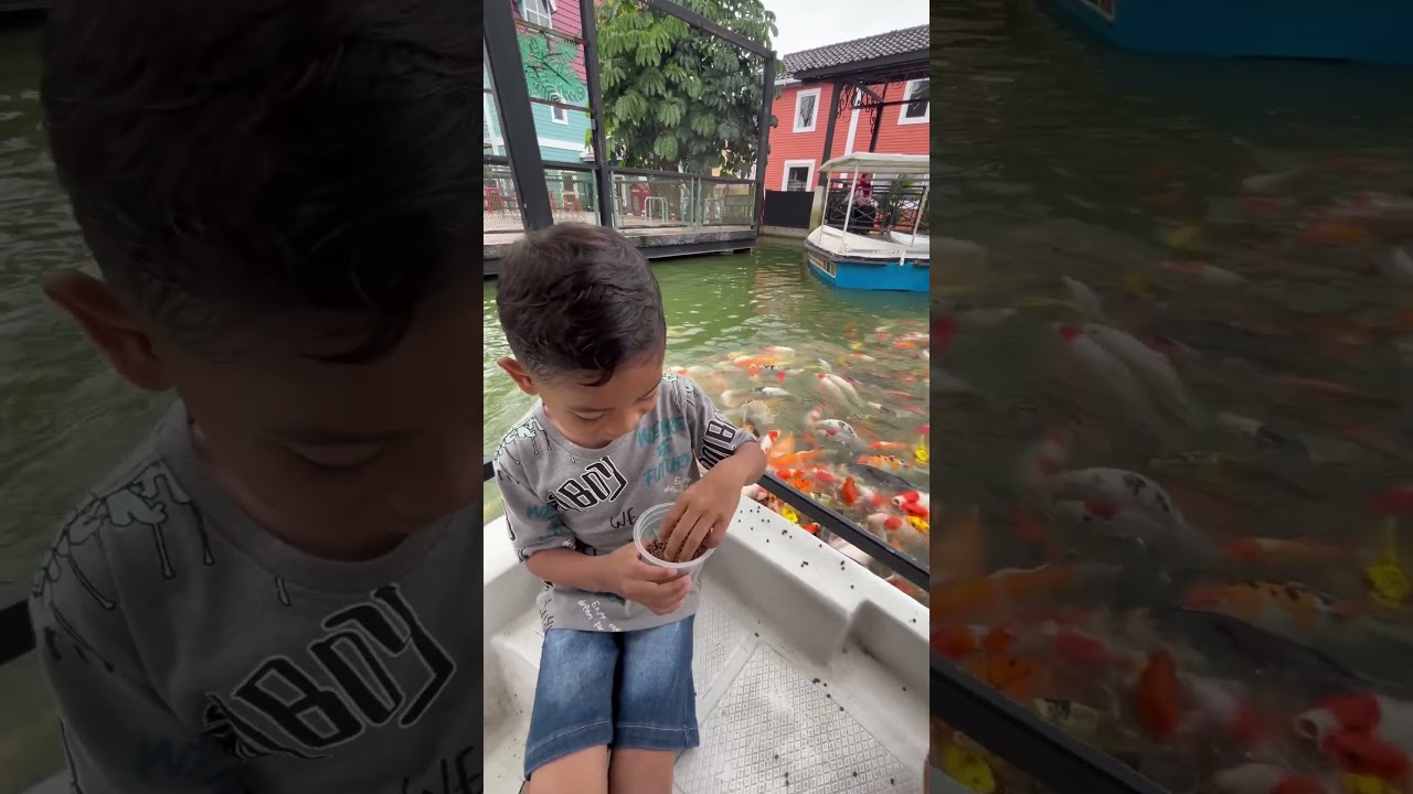 Dikejar ikan koi #funny #babyhits #cute #cutebaby #baby #ikan #ikankoi #animals #bayihits #lucu