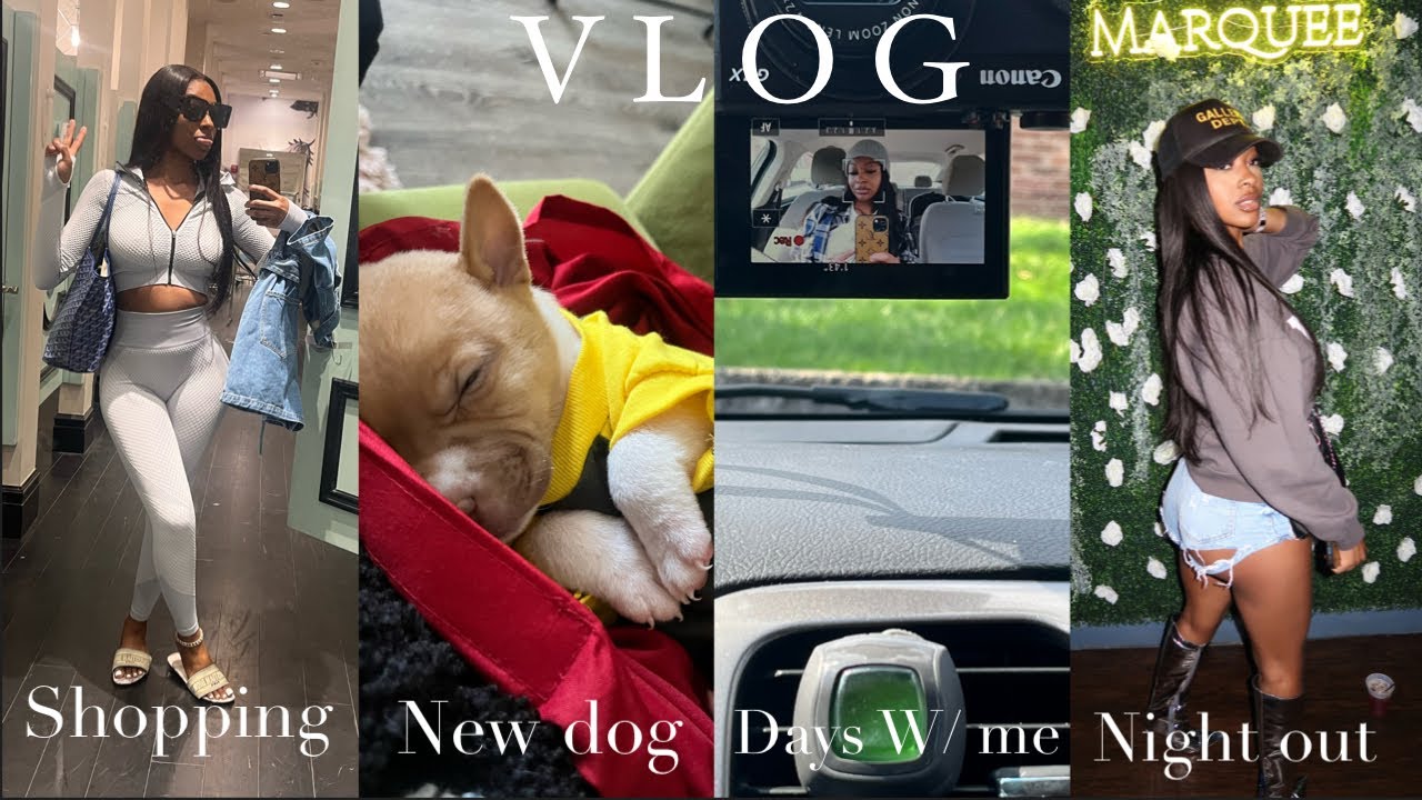 VLOG: A RANDOM WEEK IN MY LIFE | NEW DOG, SHOPPING, ERRANDS, GRWM ETC... | AVA GALORE